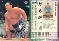 47 [レギュラーカード] ： 琴勇輝一巌