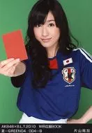 Haruka Katayama / AKB48 × B.L. T. 2010 World Cup Support Book Natsu -GREEN04/004-B