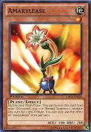 CBLZ-EN004 [N] : Versión de Amarylease y lino