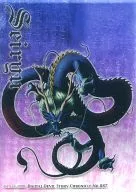 No.087：セイリュウ