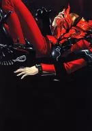 L-35 : PERSONA 2: ETERNAL PUNISHMENT Puzzle-8