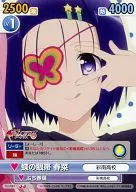 TLD/089 [U] : Parche de ojo de mariposa primavera