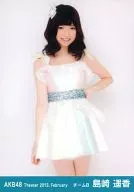 Haruka Shimazaki / Lap / Theater Trading Official photo Set 2013. February