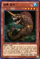 EXP5-KR013 [N] : Kantu Moray