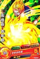 GPB-26[P]：孫悟飯：青年期