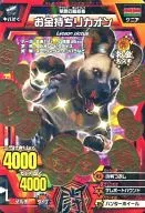 A-082:富人RION