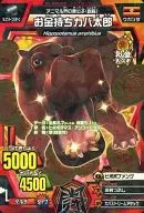 A-097[小金良]:有钱人河马太郎