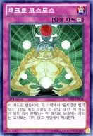 GS05-KR018 [N] : Macrocosmos