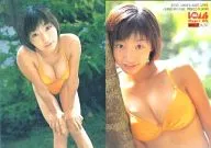 HL-14:真鍋香織/鋁箔規格/BOMB CARD HYPER DX WOLLY