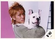 V6 / Takeshi Morita / Horizontal ・ Bust up ・ Costume gray ・ Dog hugging ・ Background pink ・ White / Official Official photo