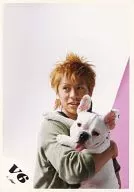 V6/森田剛/上半身・衣装グレー・犬抱き・目線左・ピンク/公式生写真
