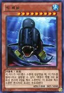 LTGY-KR008 [R] : Big Whale