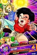 HG8-18 [Common] : Chrysin