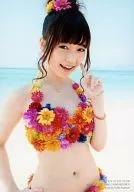 岛崎遥香/泳装/光盘"再见自由泳"通常盘特典