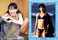 Haruka S003 : Haruka Suenaga / tarjeta especial (estampado en caliente de oro) / Haruka Suenaga
