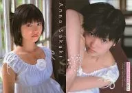 025 : Anna Sakaki / Bulletin "four sphere Vol. 3" Appendix Torayca