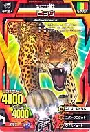 A-004[ノーマル]：ヒョウ