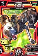 A-006 Normal : African wild dog