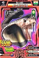 A-030 [Copper Rare] : Indian Cobra