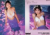 02-L-02 : Yuko Ogura / Regular Card / Yuko Ogura VISUAL PHOTOCARD COLLECTION ColleCarA