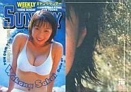 010 : Wakana Sakai / Special Card (Gold Leaf Pressed) / Young Sunday Harvest Collection Wakana Sakai