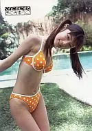 小倉優子/膝上·泳裝橙色·白色水珠圖案/《Young Animals Storm》特典生寫真