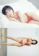 071:佐藤江梨子/标准卡/Summer Angels2000