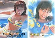 7 : Yumi Egawa / Rare Card / Yumi Egawa OFFICIAL DREAM CARDS Yu Mix