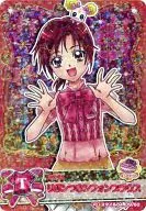 09/60 [Precure Special] : Chiffon Blouse w / Ribbon (Akane Hino)