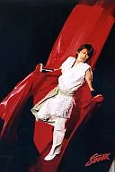Kinki Kids / Domoto Koichi / Body, Red Cloth, Clothes White, Air Performance / "Endless SHOCK" / 2L Size Official Photography
