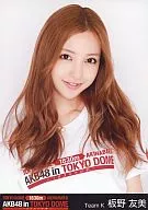 板野友美/托胸/東京巨蛋演唱會"AKB48in TOKYO DOME～1830m之夢～"限定生寫真SET