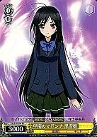 AW/S18-T04 [TD] : La Virgen de la Escuela, la Princesa Nieve Negra