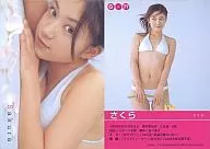 G-77 : Sakura / Girls! ORIGINAL CARD