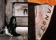 Luna Sea / Sugizo / Regular Card / Body / Costume Black / Double Hand Doll / Background Window / Grey / Luna Sea Trading Card