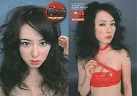 041 : Rina Akiyama / Regular Card / Rina Akiyama Trading Card BOMB CARD LIMITED 2007