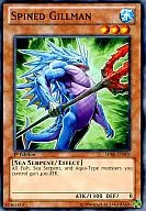 SDRE-EN009[N]:Spined Gillman/Needle Gilman