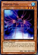 ABYR-EN006 [N] : Tripod Fish