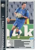 241 [Regular Card] : Samir Handanovic