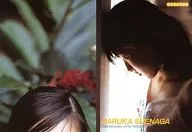 ★ 029 : Haruka Suenaga / tarjeta regular / Haruka Suenaga