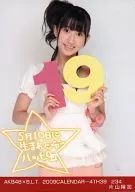 片山阳加/AKB48×B.L.T.2009CALENDAR-4TH39/234