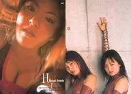 48 : nueva especie de cítrico Harumi de raíz / tarjeta regular / R.C.T. -FETISH BONDAGE - colección de tarjetas