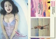 060 : Yumi Adachi / Regular Card / Yumi Adachi CARD LIMITED - Premium - Trading Card