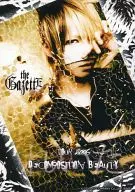 The Gazete / Reita / Bust Up / Left Hand Face / TOUR 2006 DECOMPOSITION BEAUTY / Official Official photo