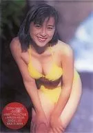 MEGC001 : Megumi Okina / Clear Card / (Gold Leaf Press) / BOMB CARD EXTRA Megumi Okina