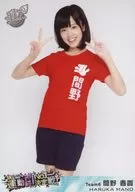 間野春香/膝上/DVD｢週刊AKB SKE48 運動神経NO.1決定戦｣