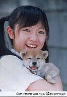 Morning Musume / Asami Konno / Bust Up / Background Fence / Right Shoulder Front / Both Hands Holding Shiba Inu / Mouth Opening / Official Official photo