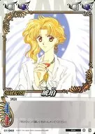 01 a 069 [N] : ámbar