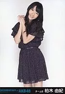 Yuki Kashiwagi / Hizaue / DVD 「 DOCUMENTARY of AKB48 Show must go on Girls are Wounded but Dreaming 」 Special gift included