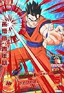 HG1-CP2[CP]:孙悟饭:青春期