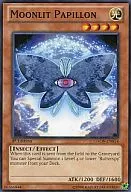 GAOV-EN014 [N] : Moonlit Papillon / Gekko Butterfly